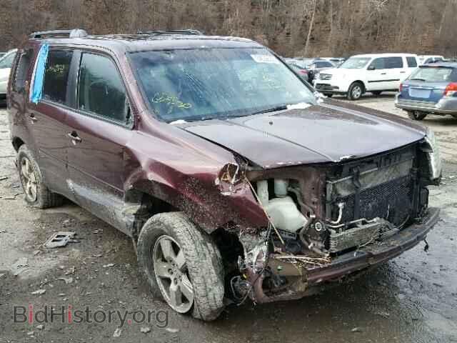 Фотография 5FNYF48549B018444 - HONDA PILOT 2009