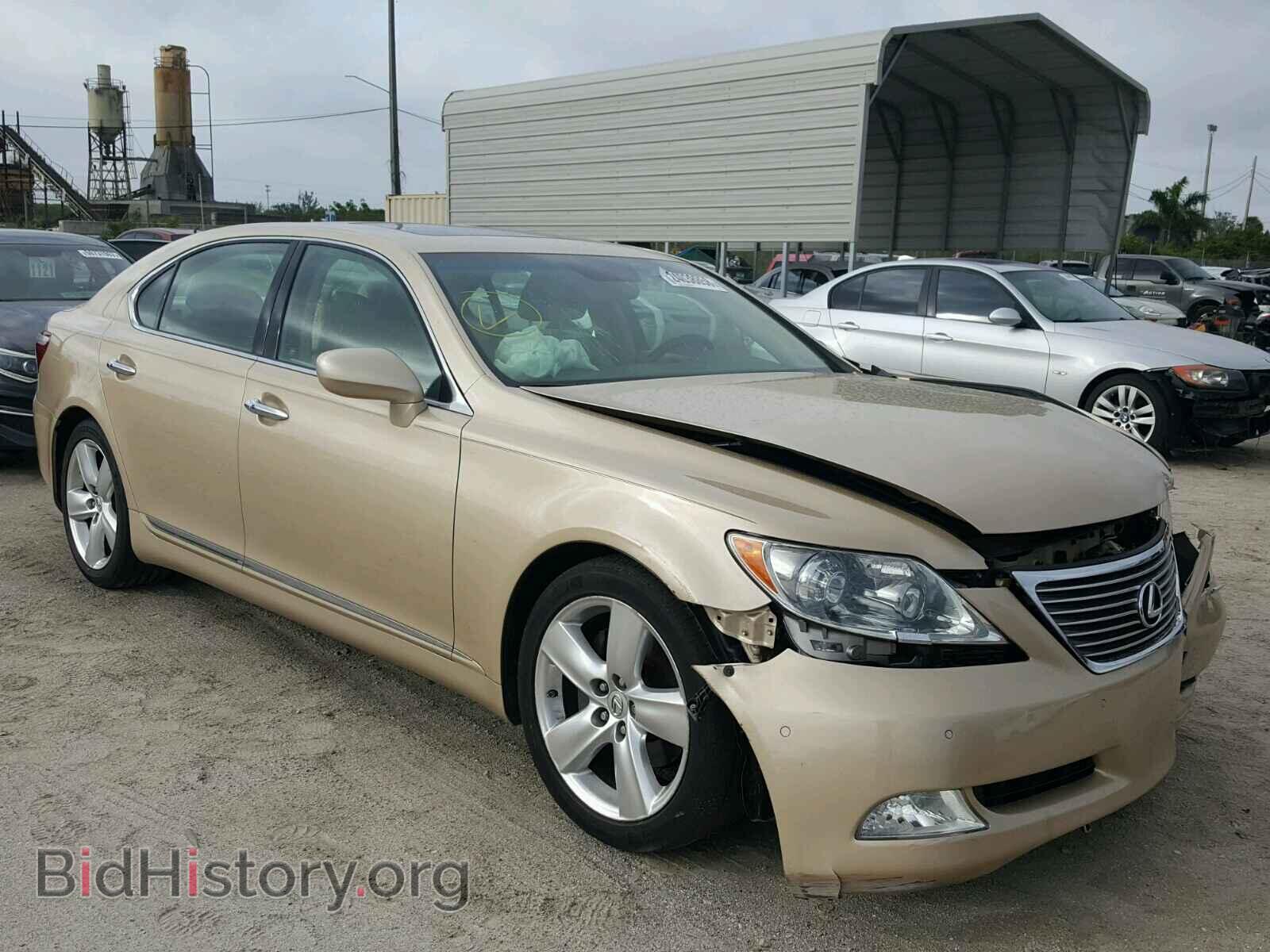 Фотография JTHGL46F485029538 - LEXUS LS460 2008