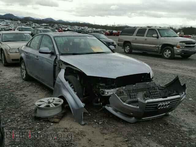 Фотография WAUBFAFL0AN026081 - AUDI A4 2010