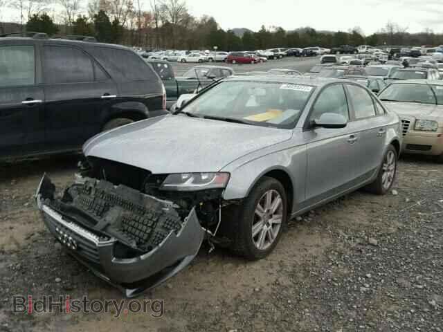 2010 AUDI A4 - VIN: WAUBFAFL0AN026081 - Фото 2
