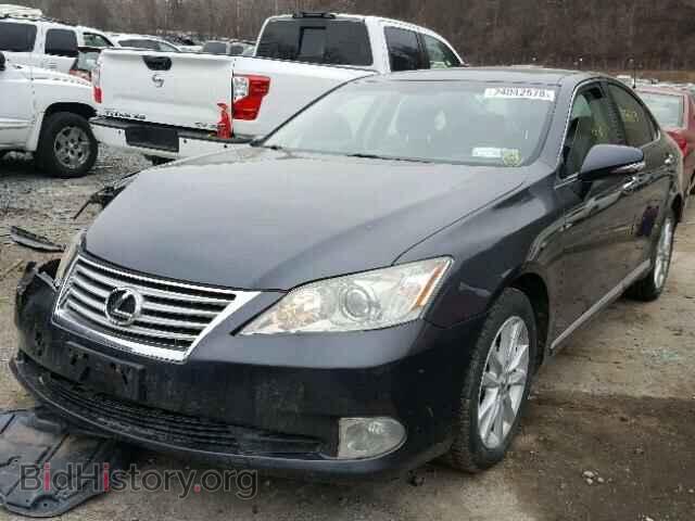 2010 LEXUS ES350 - VIN: JTHBK1EG8A2377484 - Фото 2