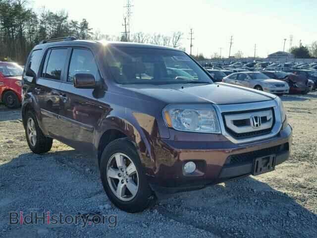 Photo 5FNYF3H51BB012360 - HONDA PILOT 2011