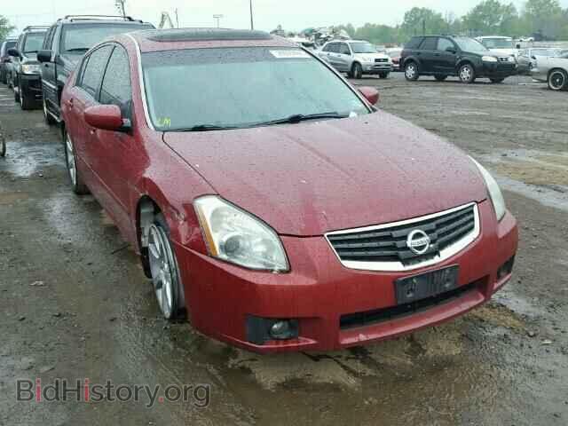 Photo 1N4BA41E78C828571 - NISSAN MAXIMA 2008