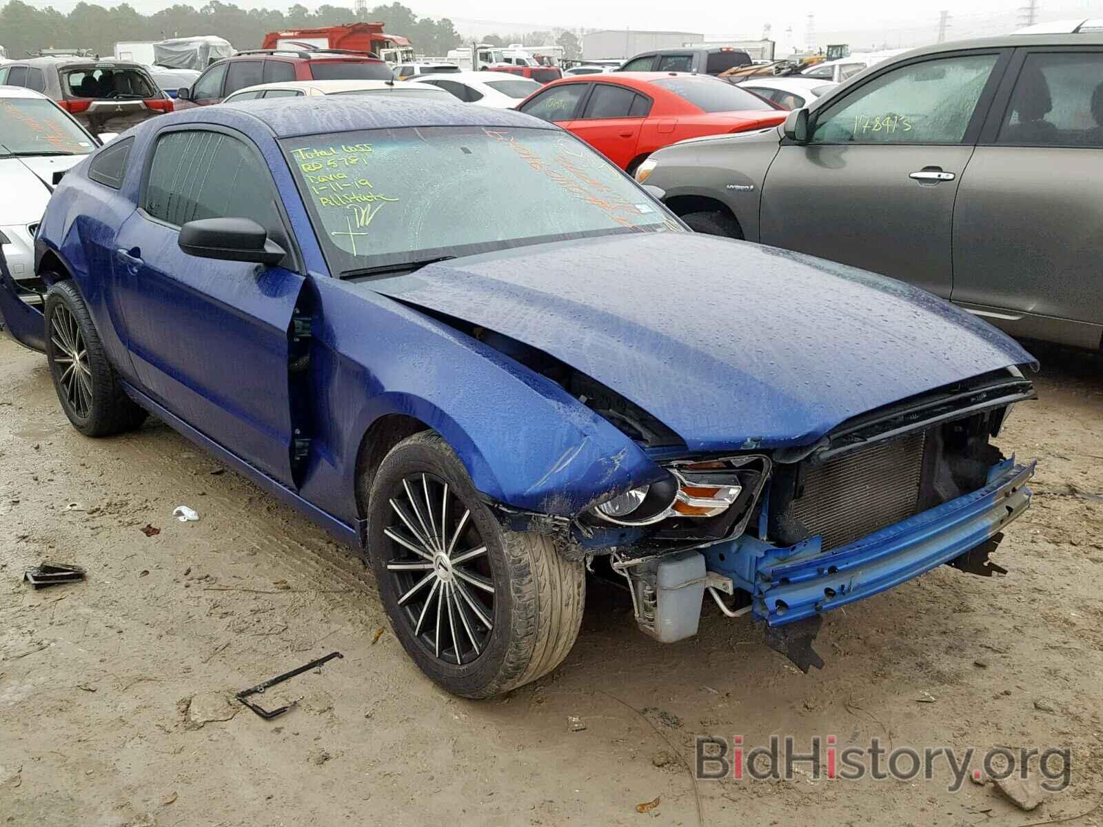 Photo 1ZVBP8AM9E5245150 - FORD MUSTANG 2014