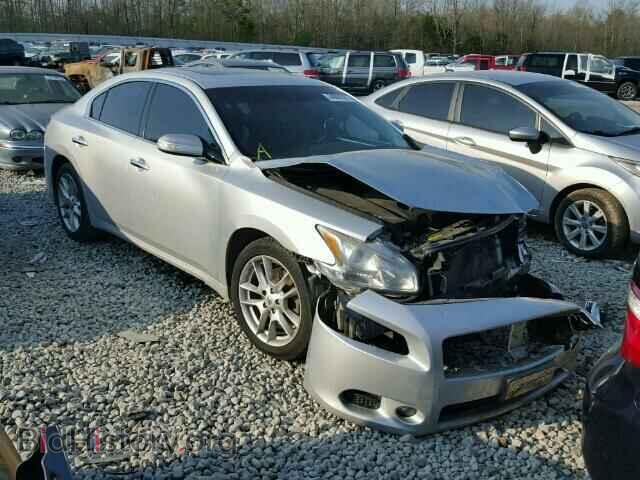 Фотография 1N4AA5AP8BC861217 - NISSAN MAXIMA 2011