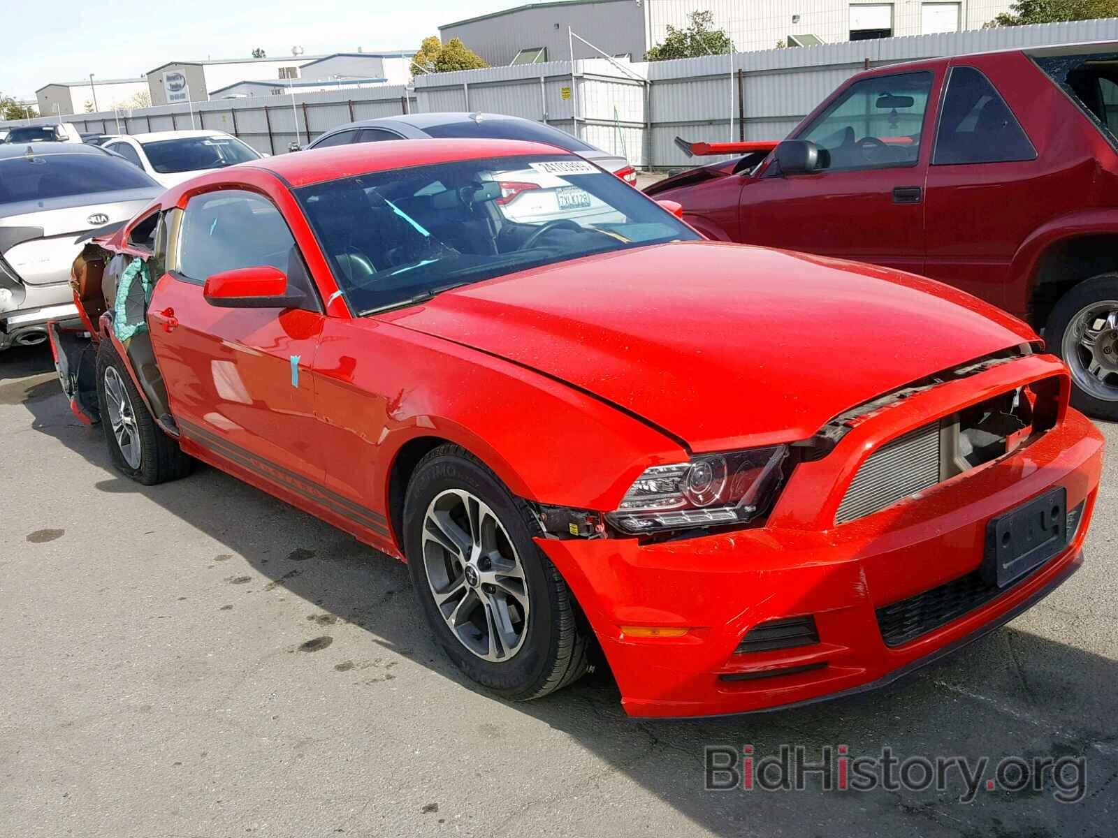 Photo 1ZVBP8AM2D5243836 - FORD MUSTANG 2013