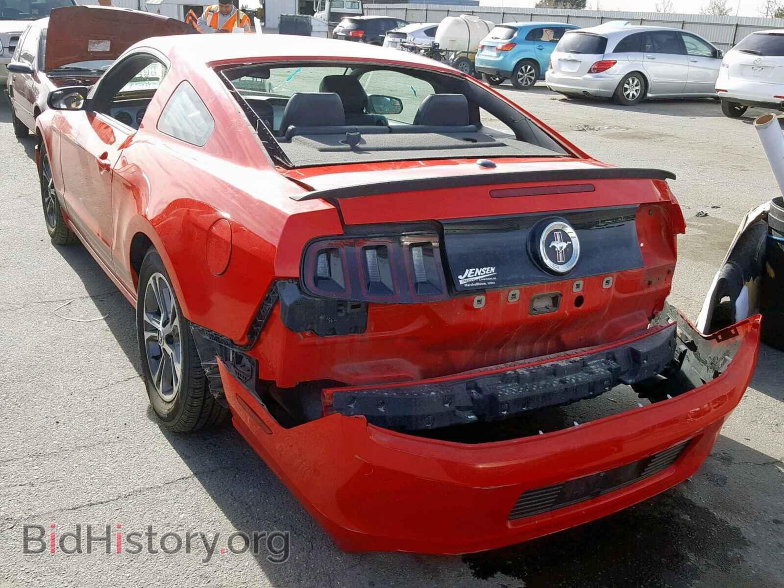 2013 FORD MUSTANG - VIN: 1ZVBP8AM2D5243836 - Фото 3
