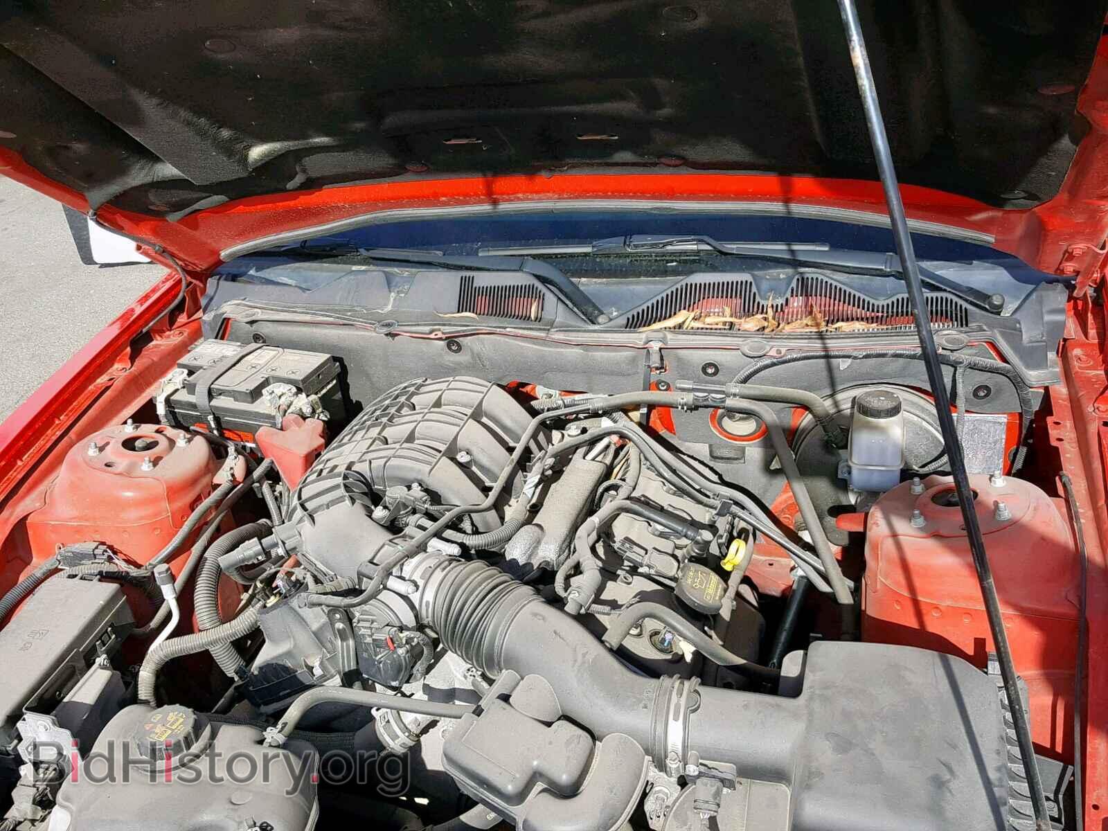 2013 FORD MUSTANG - VIN: 1ZVBP8AM2D5243836 - Фото 7