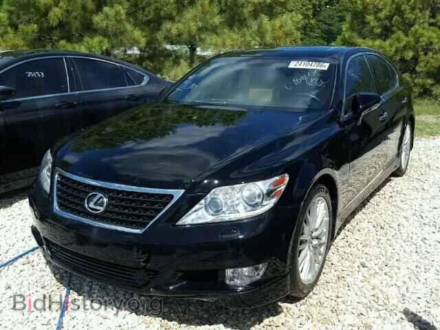 2012 LEXUS LS460 - VIN: JTHBL5EF6C5111796 - Фото 2
