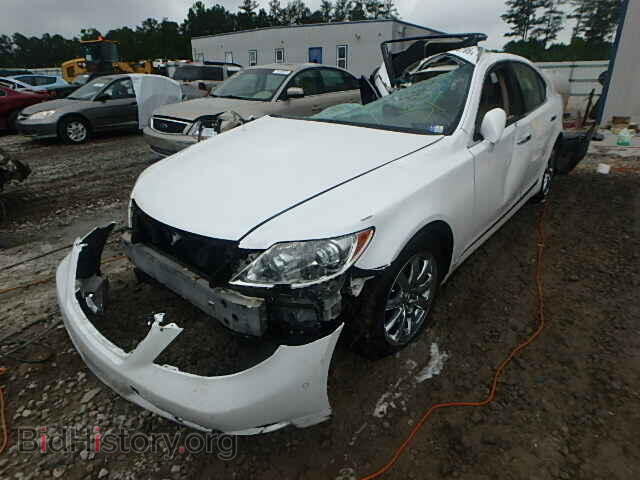 2007 LEXUS LS460 - VIN: JTHBL46FX75033165 - Фото 2