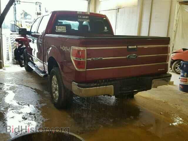 2013 FORD F150 - VIN: 1FTFW1EF7DKE59404 - Фото 3