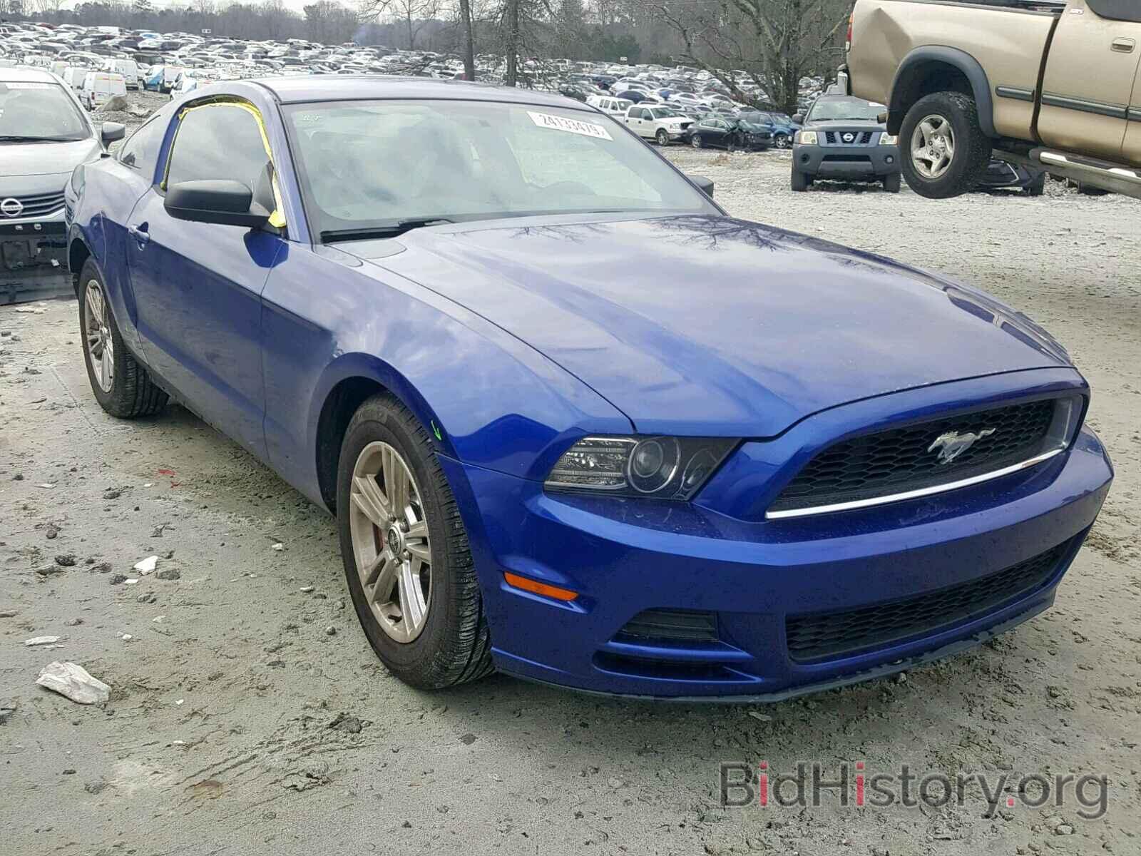Photo 1ZVBP8AM1D5223111 - FORD MUSTANG 2013