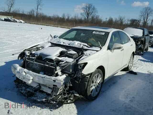 2011 LEXUS ES350 - VIN: JTHBK1EG6B2461983 - Фото 2