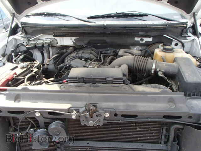 2011 FORD F150 - VIN: 1FTEX1CM1BFB37681 - Фото 7