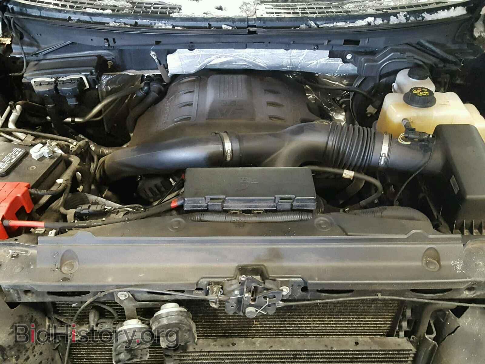 2013 FORD F150 - VIN: 1FTFX1ET2DFA05511 - Фото 7