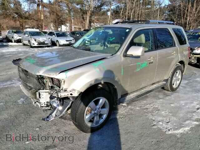 2011 FORD ESCAPE - VIN: 1FMCU9EG8BKB50372 - Фото 2