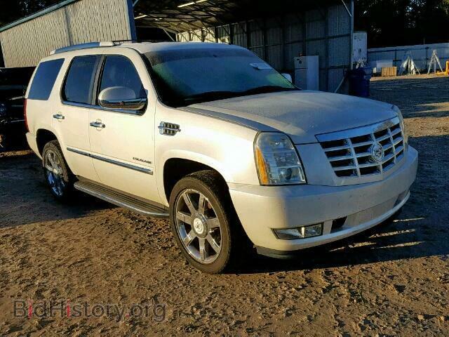 Фотография  - CADILLAC ESCALADE L 2010