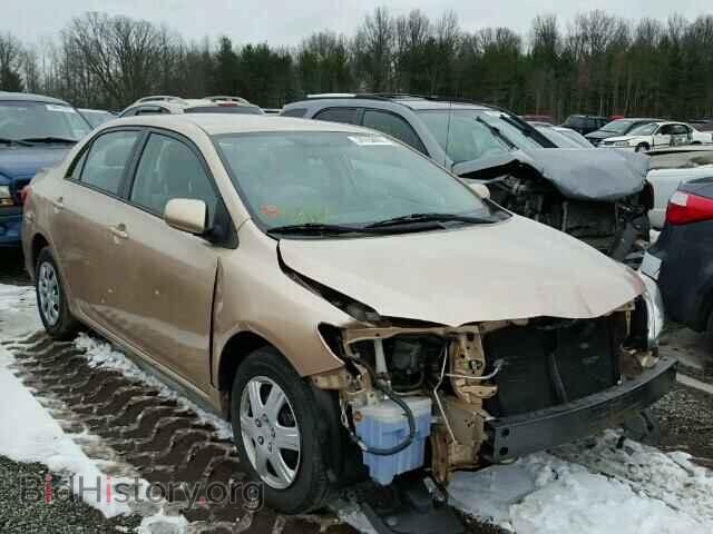 Фотография 2T1BU4EE9BC749400 - TOYOTA COROLLA 2011