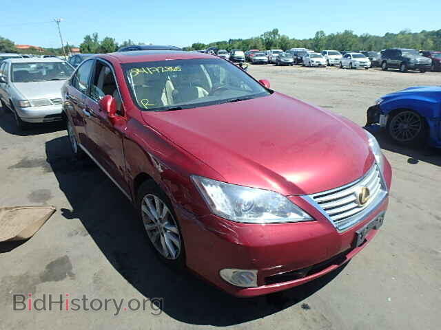 Фотография JTHBK1EG0B2434505 - LEXUS ES350 2011
