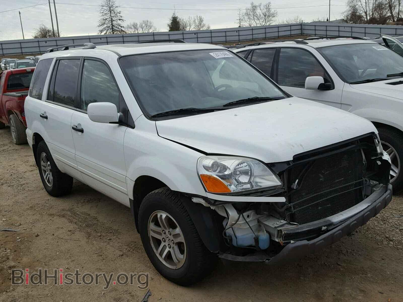 Photo 5FNYF18505B064572 - HONDA PILOT 2005