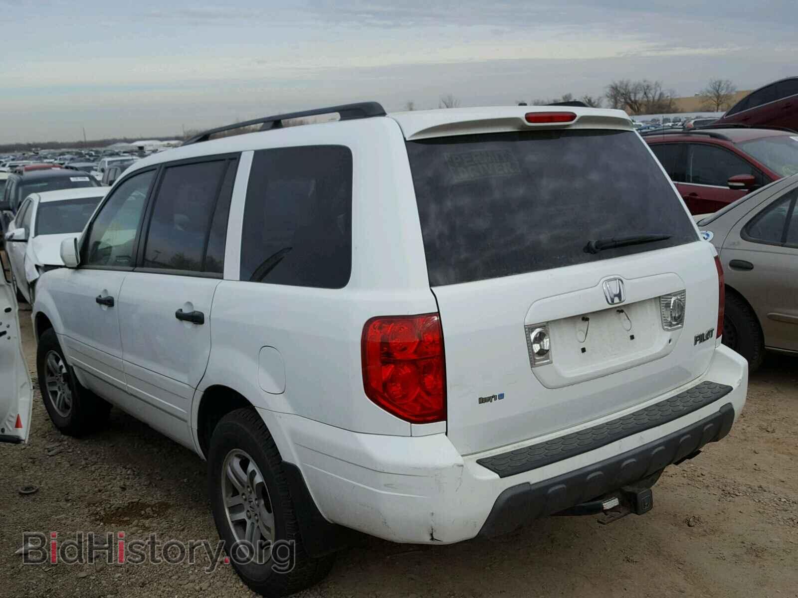 2005 HONDA PILOT - VIN: 5FNYF18505B064572 - Фото 3