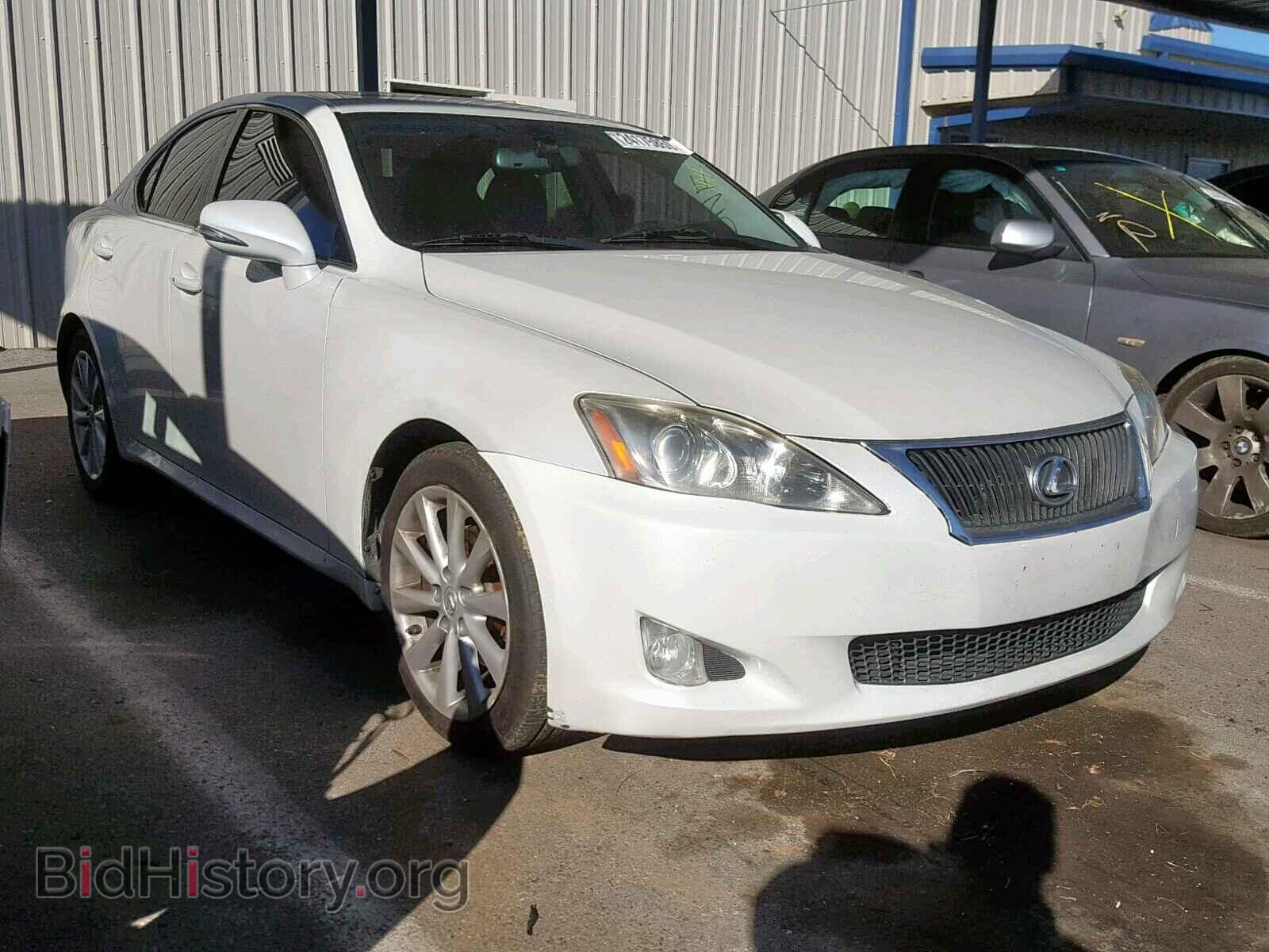 Фотография JTHBK262X92087817 - LEXUS IS 250 2009