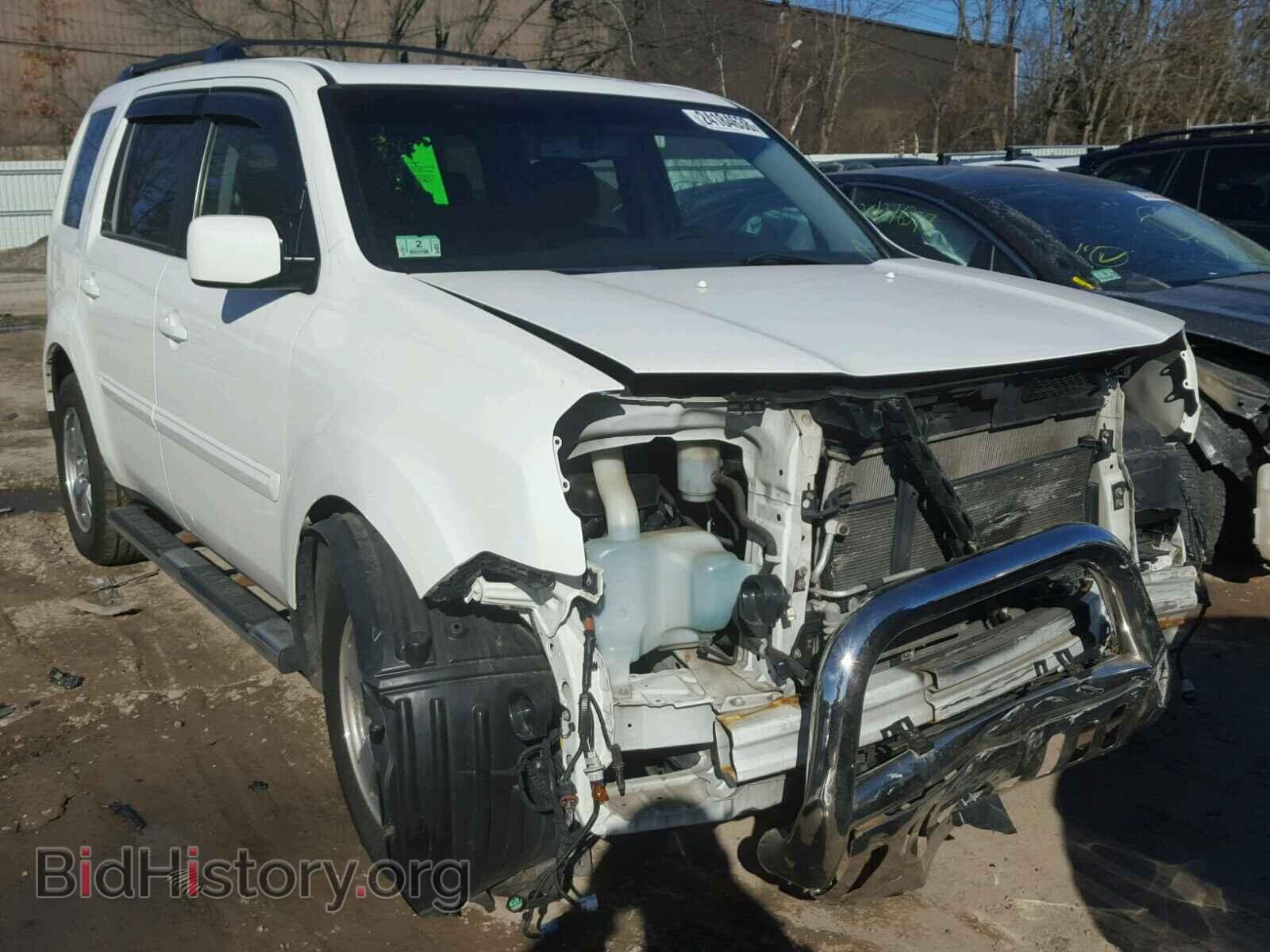 Фотография 5FNYF48509B049948 - HONDA PILOT 2009