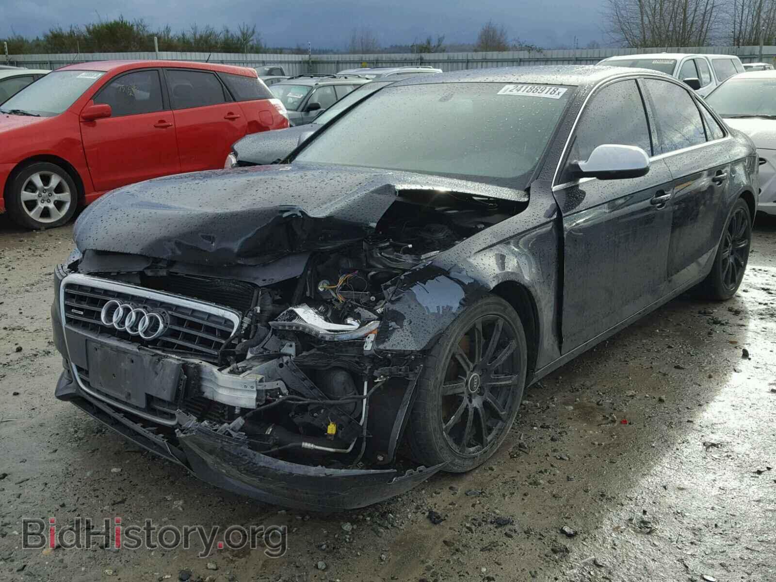 2010 AUDI A4 - VIN: WAUFFAFL7AN009005 - Фото 2