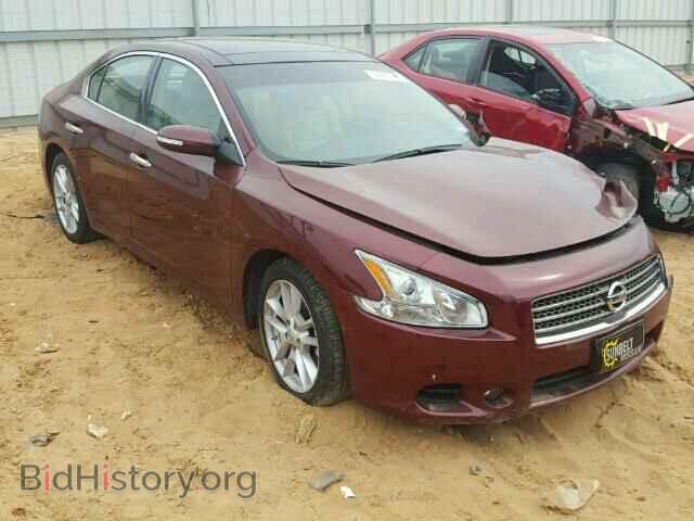Фотография 1N4AA5AP1AC819955 - NISSAN MAXIMA 2010