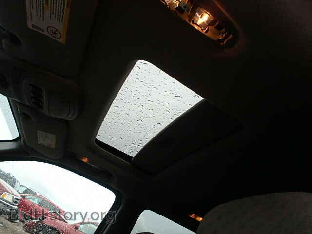 2004 GMC ENVOY - VIN: 1GKET12S446218905 - Фото 10