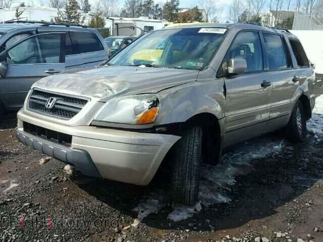 2005 HONDA PILOT - VIN: 5FNYF18685B006363 - Фото 2
