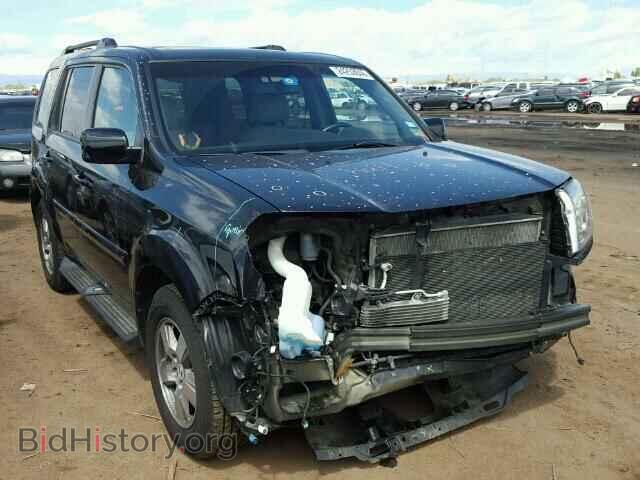 Фотография 5FNYF4H77BB032846 - HONDA PILOT 2011