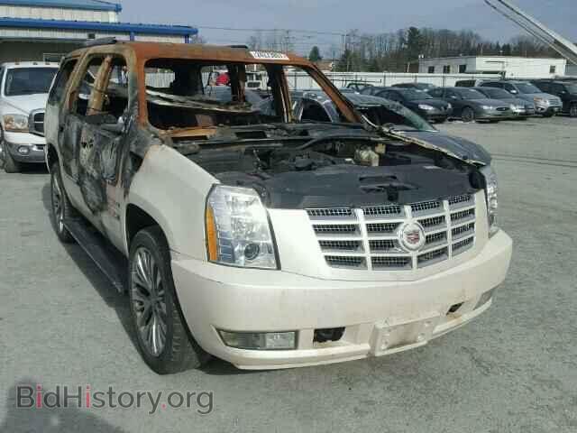 Фотография 1GYUKEEJ6AR161874 - CADILLAC ESCALADE 2010