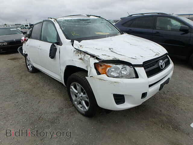 Фотография 2T3ZF4DV5BW087167 - TOYOTA RAV4 2011
