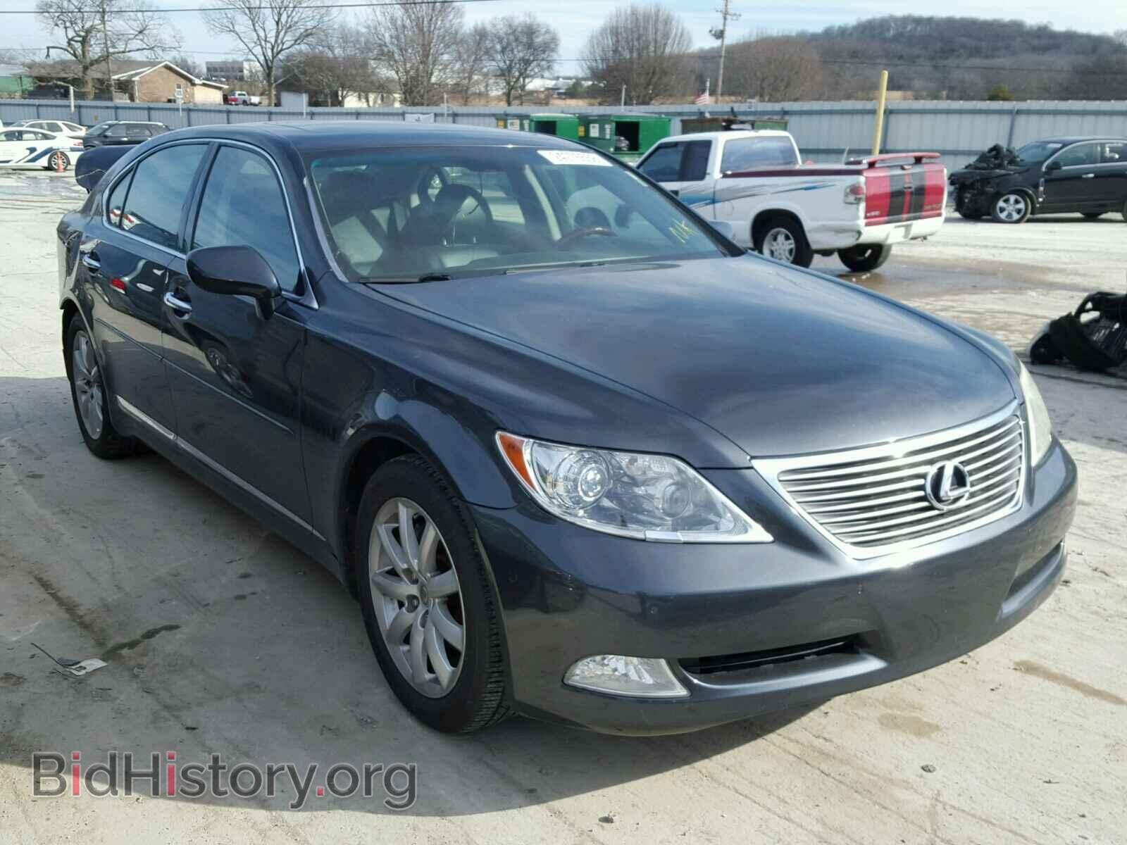 Фотография JTHGL46F185028055 - LEXUS LS460 2008