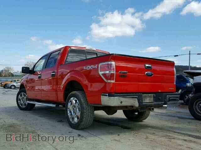 2011 FORD F150 - VIN: 1FTFW1EF4BFA32932 - Фото 3