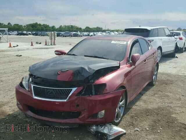 2009 LEXUS IS250 - VIN: JTHBK262395094395 - Фото 2