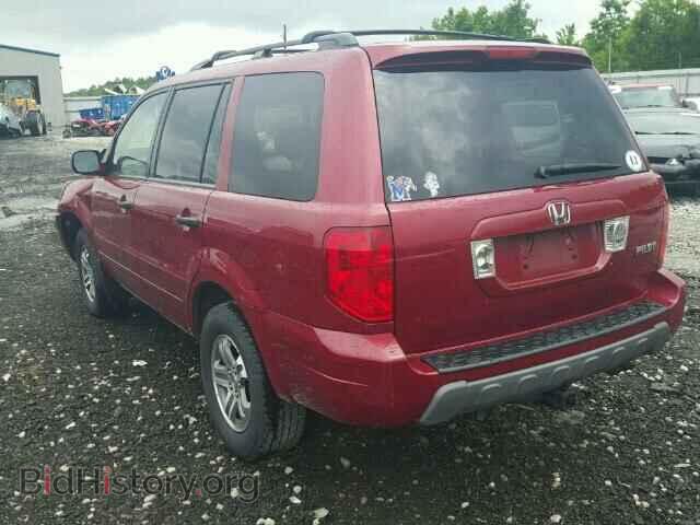 2005 HONDA PILOT - VIN: 5FNYF18665B041239 - Фото 3