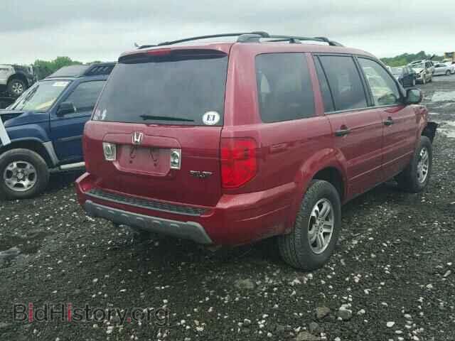 2005 HONDA PILOT - VIN: 5FNYF18665B041239 - Фото 4