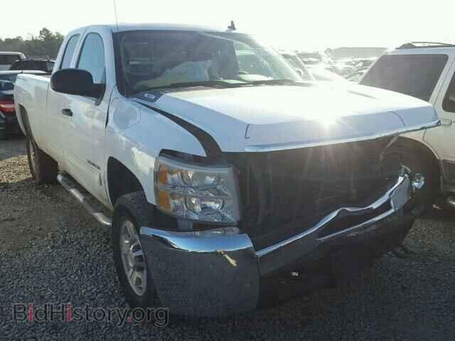 Photo 1GC5CXBG2AZ189845 - CHEVROLET SILVERADO 2010