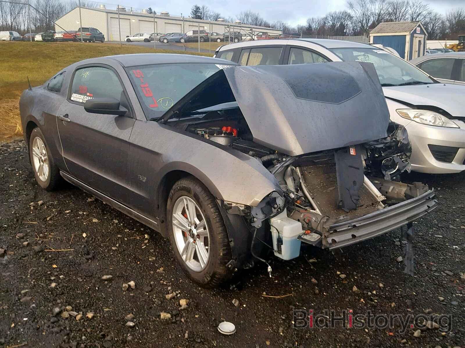 Photo 1ZVBP8AM9E5303578 - FORD MUSTANG 2014
