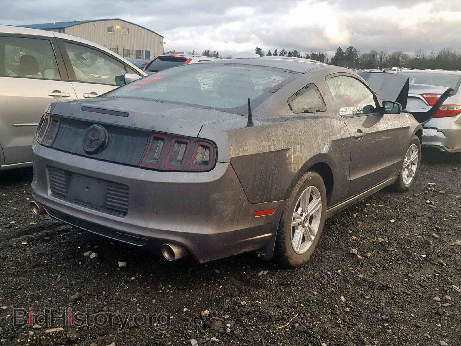2014 FORD MUSTANG - VIN: 1ZVBP8AM9E5303578 - Фото 4