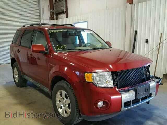 Фотография 1FMCU0EG7BKC31889 - FORD ESCAPE 2011