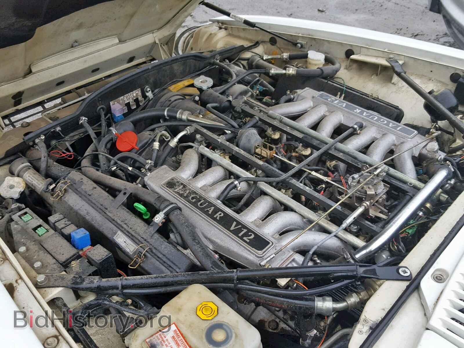 1992 JAGUAR XJS - VIN: SAJNW5849NC180854 - Фото 7