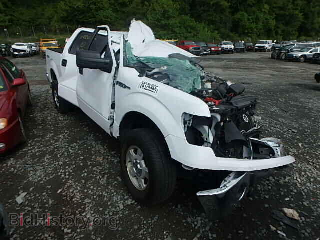 Photo 1FTFW1EF3DFA61986 - FORD F150 2013