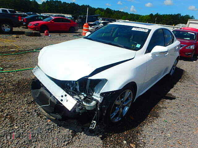 2010 LEXUS IS250 - VIN: JTHBF5C20A5126721 - Фото 2