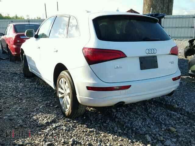 2013 AUDI Q5 - VIN: WA1CFAFP3DA019609 - Фото 3