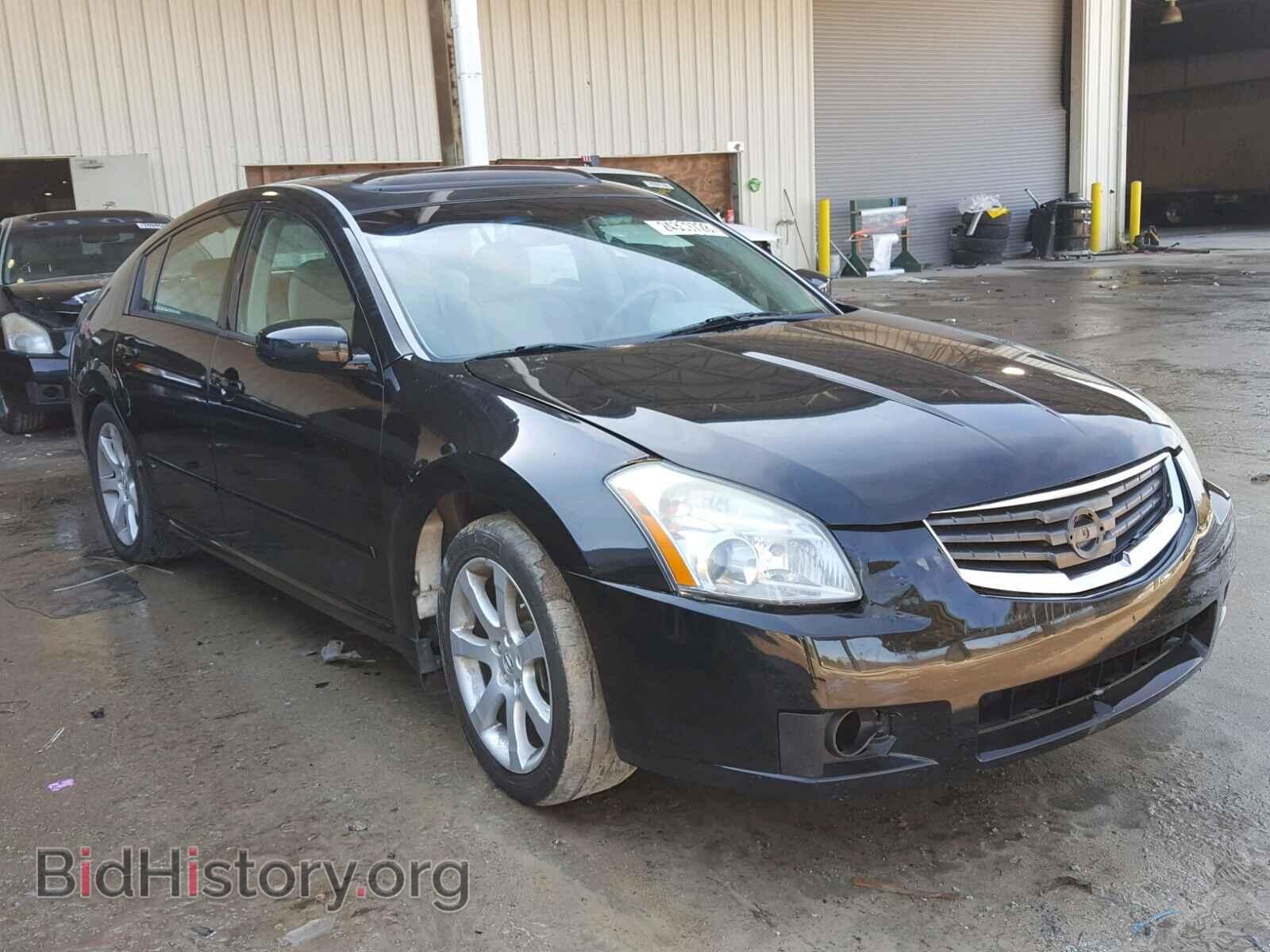 Photo 1N4BA41E68C829937 - NISSAN MAXIMA 2008