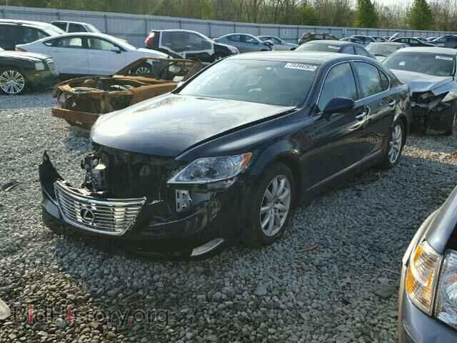 2007 LEXUS LS460 - VIN: JTHBL46F075039301 - Photo 2