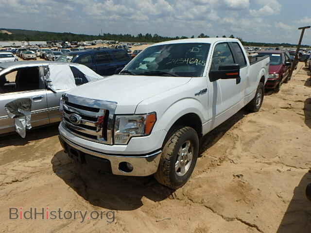 2011 FORD F150 - VIN: 1FTFX1EF3BFB74959 - Фото 2